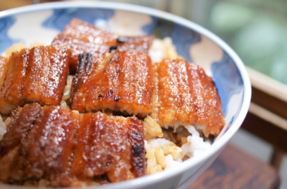 Grilled eel on rice with sauce